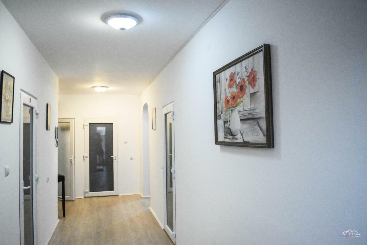 Spacious And Cozy 3Bd+Terrace Couples Apartment 티미쇼아라 외부 사진