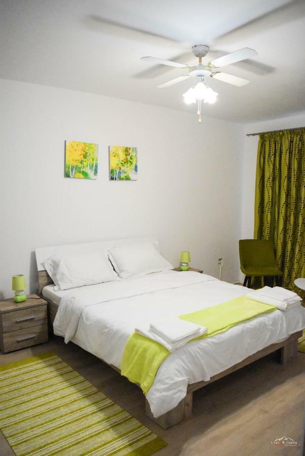 Spacious And Cozy 3Bd+Terrace Couples Apartment 티미쇼아라 외부 사진