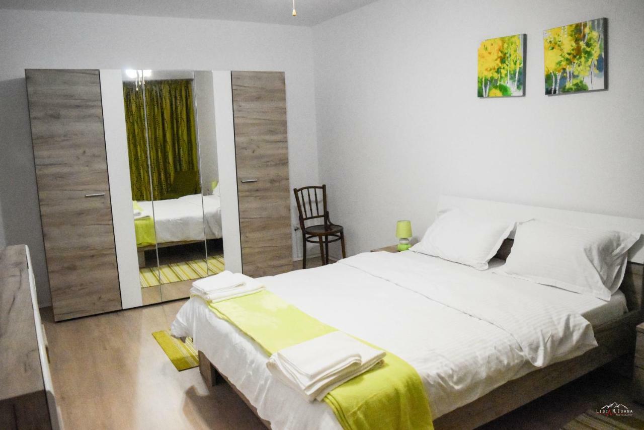 Spacious And Cozy 3Bd+Terrace Couples Apartment 티미쇼아라 외부 사진